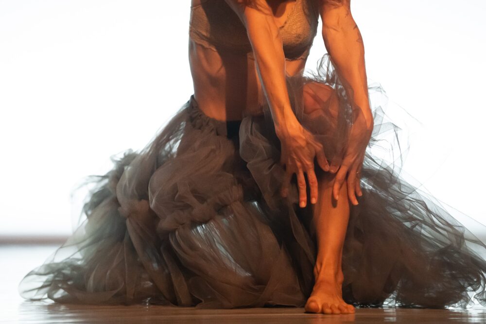 "נונה" (Nona)/ להקת המחול ורטיגו/ כוריאוגרפיה: נעה ורטהיים ורינה ורטהיים קורן/ מוזיקה: רן בגנו /תאורה: נדב ברנע / תפאורה: זוהר שואף / תלבושות: ששון קדם / רקדנים יוצרים: מיכה איימוס, קורינה פריימן, עדן בן שימול, אילן גלובוביץ, נעה ישראלי, עלמה קרבט שמש, אשד ויסמן, ניב כבירי, מיה אסרף, יואב קליינמן, הילי גרינברג / מרכז סוזן דלל 22.12.2026.